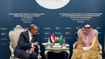 وزير الخارجية يلتقي نظيره السعودي بإسطنبول ويؤكد أهمية تعزيز الشراكة الاقتصادية