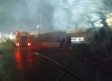 السيطرة على حريق نخل بجوار مخزن مشروبات غازية بقليوب دون خسائر بشرية السيطرة على حريق نخل بجوار مخزن مشروبات غازية بقليوب دون خسائر بشرية