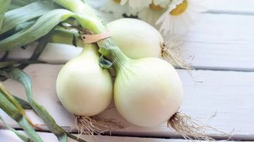 أبرزها حماية القلب.. البصل الأخضر وفوائده الصحية المذهلة أبرزها حماية القلب.. البصل الأخضر وفوائده الصحية المذهلة