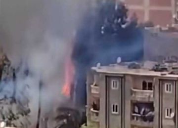 بسبب الطقس الحار.. حريق يلتهم أشجار في بيانكي بالإسكندرية (صور)