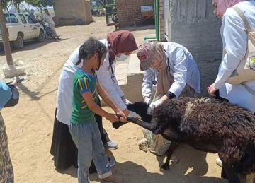 جامعة سوهاج تطلق قافلة بيطرية مجانية لقرية أولاد مامن ضمن مبادرة حياة كريمة 