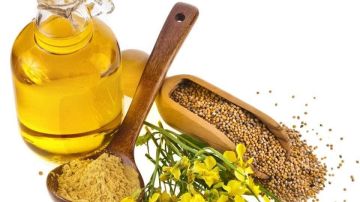 يمنع الشيخوخة ويعجل التئام الجروح .. اكتشف فوائد الخردل