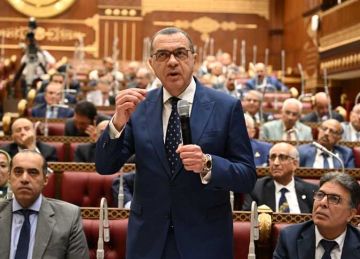  المالية أمام الشيوخ : نعمل على رفع حد الإعفاء للضريبة العقارية إلى 4 ملايين جنيه