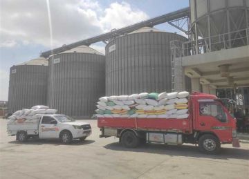 منذ بداية الحصاد.. صوامع وشون الشرقية تستقبل 598.4 ألف طن قمح منذ بداية الحصاد.. صوامع وشون الشرقية تستقبل 598.4 ألف طن قمح