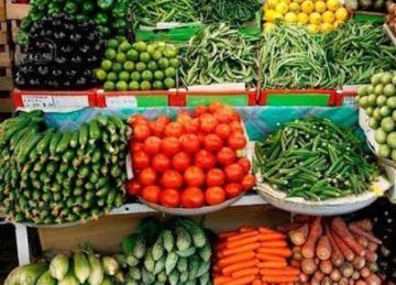  الزراعة : ارتفاع الصادرات الزراعية إلى 5.2 مليون طن خلال النصف الأول من 2025