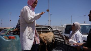 بحوث الصحراء يطلق قافلة بيطرية مجانية في السلوم وسيدي براني بمطروح بحوث الصحراء يطلق قافلة بيطرية مجانية في السلوم وسيدي براني بمطروح