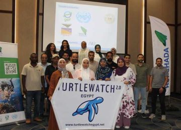 باحثو محميات البحر الأحمر يخوضون تدريبا عمليا لرصد السلاحف البحرية