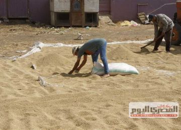 بكام طن الشعير؟.. أسعار الأرز اليوم الأربعاء 11 يونيو 2025 في أسواق الشرقية بكام طن الشعير؟.. أسعار الأرز اليوم الأربعاء 11 يونيو 2025 في أسواق الشرقية