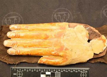 في أقل من شهر.. السياحة والآثار تسترد 66 قطعة أثرية من أمريكا وفرنسا واستراليا (صور)