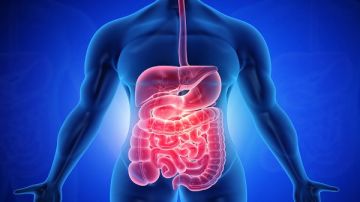 أستاذ جهاز هضمي: الارتجاع لا يعالج فقط بالدواء بل بتحسين نمط النوم