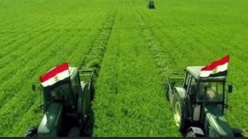 بمساحات تبدأ من 238 فدان.. فرص استثمارية بأسعار تنافسية في القطاع الزراعي.. تفاصيل