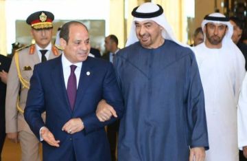 بن زايد يشيد بجهود الوساطة المصرية للتوصل لاتفاق لوقف إطلاق النار في غزة وحماية الأهالي