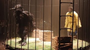 قصور الثقافة تقدم رفرفة ضمن عروض التجارب النوعية على مسرح الأنفوشي