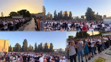 آلاف الفلسطينيين يؤدون صلاة عيد الأضحى فى المسجد الأقصى المبارك آلاف الفلسطينيين يؤدون صلاة عيد الأضحى فى المسجد الأقصى المبارك