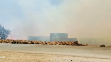 14 سيارات مطافئ لإخماد حريق شونه كتان بقرية شبر اليمن بالغربية 14 سيارات مطافئ لإخماد حريق شونه كتان بقرية شبر اليمن بالغربية