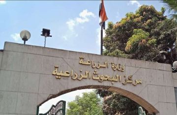  البحوث الزراعية : مصر تحتل مكانة عالمية متميزة في إنتاج نبات وزهور الياسمين