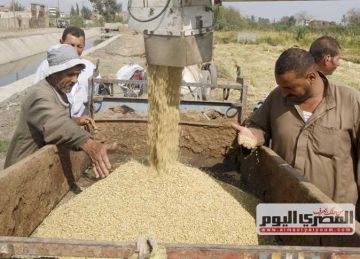 بكام الطن؟ أسعار الأرز الشعير والأبيض اليوم الأربعاء 4 يونيو 2025 في أسواق الشرقية