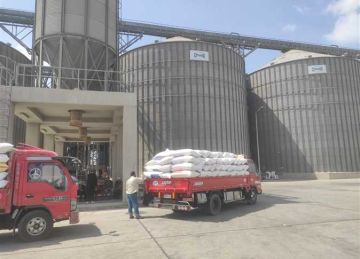 منذ بدء الحصاد.. صوامع وشون الشرقية تستقبل 598.5 ألف طن قمح من المزارعين