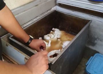 ضبط طن ونصف دواجن غير صالحة للاستهلاك الآدمي في القليوبية