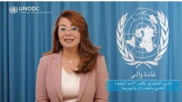 غادة والي تكشف أسباب استقالتها من مكتب الأمم المتحدة المعني بالمخدرات والجريمة غادة والي تكشف أسباب استقالتها من مكتب الأمم المتحدة المعني بالمخدرات والجريمة