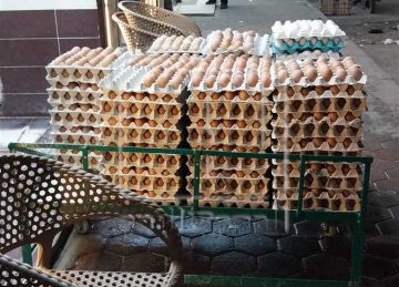 أسعار البيض و الدواجن في دمياط اليوم الثلاثاء 24 يونيو 2025 أسعار البيض و الدواجن في دمياط اليوم الثلاثاء 24 يونيو 2025