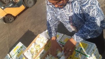 الزراعة: استمرار تصدير شحنات الخضر والفاكهة من ميناء القاهرة.. وفحص قمح أمريكي بـ الأدبية الزراعة: استمرار تصدير شحنات الخضر والفاكهة من ميناء القاهرة.. وفحص قمح أمريكي بـ الأدبية