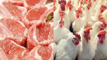 انخفاض أسعار اللحوم والدواجن في مصر اليوم الإثنين 9 يونيو 2025