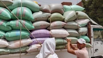 توريد145 ألف و130 طن قمح من محصول الموسم الجديدفي الغربية