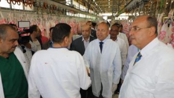 محافظ القاهرة: المجازر تقدم جميع خدماتها بالمجان للمواطنين محافظ القاهرة: المجازر تقدم جميع خدماتها بالمجان للمواطنين