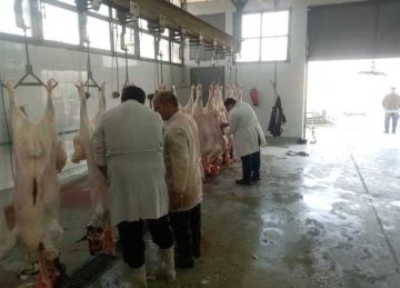 بالمجان.. تعرف على أماكن ومواعيد ذبح الأضاحي في 30 مجزرا بالقليوبية