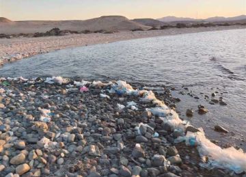 العاملون بفنادق الغردقة يشاركون في حملات نظافة الشواطئ من مخلفات البلاستيك 