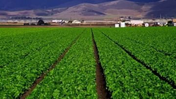 الحكومة: مشروع تطوير الريف المصري حياة كريمة يقترب من إتمام مرحلته الأولى