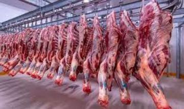 في الأسواق ومنافذ الزراعة ووطنية.. أسعار اللحوم اليوم الثلاثاء 10 يونيو 2025