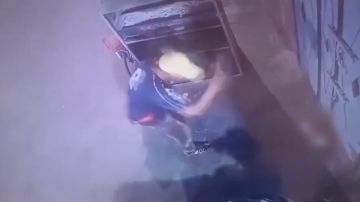 مصر.. فيديو تقشعر منه الأبدان لشخص يقتل هرة بحجر يشعل تفاعلا والأمن يرد