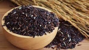 نشرة المرأة والمنوعات فوائد الأرز الأسود تفوق التوقعات.. نصائح مهمة قبل شراء اللحوم في عيد الأضحى