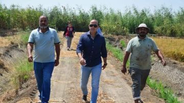 رئيس مدينة بورفؤاد يؤكد أهمية التوسع في زراعة محاصيل الأرز والقطن والذرة