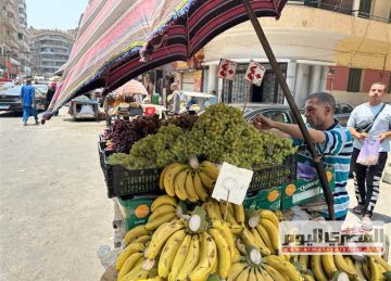 سعر الخوخ والبرقوق والفاكهة في الأسواق اليوم الجمعة 20 يونيو 2025