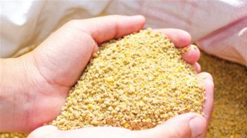 ضبط 3 أطنان أعلاف حيوانية غير صالحة بكفر الشيخ