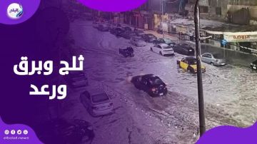 أكنك روحت أوروبا.. ماذا حدث في الإسكندرية؟