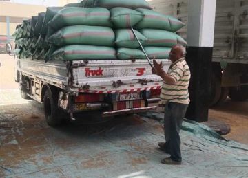 توريد 506 آلاف طن قمح في المنيا منذ بداية الموسم توريد 506 آلاف طن قمح في المنيا منذ بداية الموسم