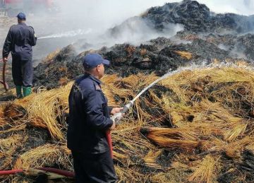 للمرة الثانية خلال 24 ساعة.. حريق هائل في شونة كتان بالغربية