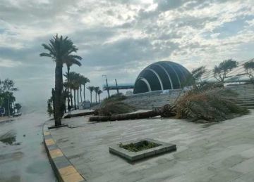 شبورة ورياح وأمطار.. حالة الطقس فى الإسكندرية غدا الاثنين