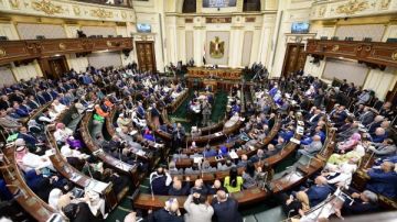 طلب إحاطة فى النواب لمواجهة سرقات الأبحاث والحقوق الفكرية للغير