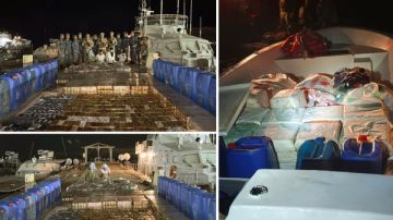 بقيمة 190 مليون جنيه.. القوات البحرية تحبط تهريب مخدرات بالبحر الأحمر