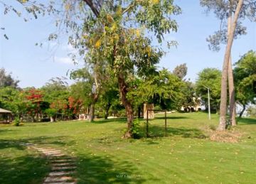 الفسحة بـ5 جنيه.. القناطر الخيرية منتجع الغلابة تستعد لاستقبال المواطنين في العيد