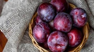 هذا ما يحدث للجسم عند تناول البرقوق.. مرضي السكري عليهم الحذر