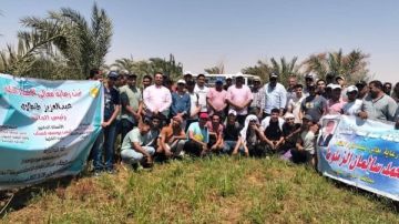 انطلاق فعاليات التدريب الصيفى الميدانى لطلاب زراعة الوادى الجديد انطلاق فعاليات التدريب الصيفى الميدانى لطلاب زراعة الوادى الجديد