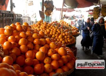 الكيلو يبدأ من 25 جنيها.. أسعار الفاكهة اليوم في أسواق مطروح الكيلو يبدأ من 25 جنيها.. أسعار الفاكهة اليوم في أسواق مطروح