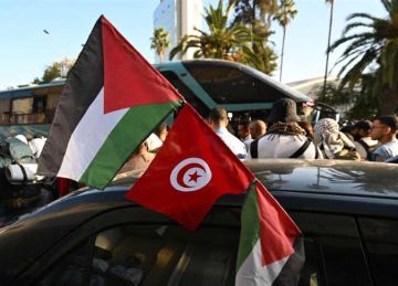  فخ شيطاني .. سياسيو الإسكندرية يرفضون مرور قافلة الصمود خارج الضوابط المصرية