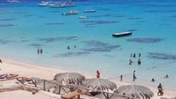 نقابة السياحيين: 76 من السياحة في مصر شاطئية ونتطلع لجذب 30 مليون سائح